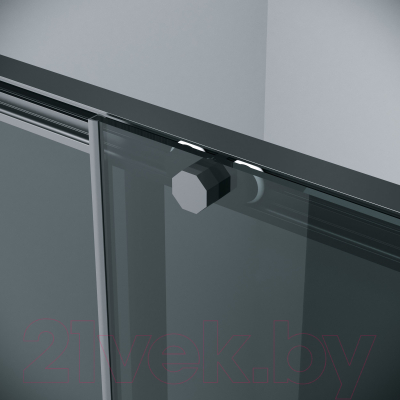 Душевая дверь Grossman Style 100x195 / 100.K33.05.100.21.10