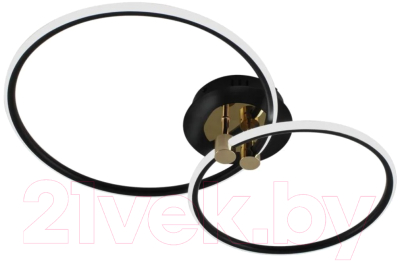 Потолочный светильник Estares Lune 50W 2R-APP-615x360x110-BLACK/GOLD/WHITE-220-IP20 - фото
