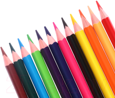 Набор цветных карандашей Erich Krause Safari / 61814