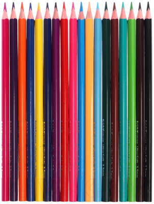 Набор цветных карандашей Erich Krause Safari / 61815 - фото