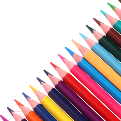 Набор цветных карандашей Erich Krause Safari / 61815