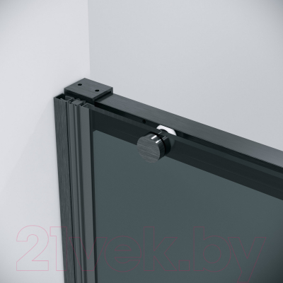 Душевая дверь Grossman Galaxy 100x195 / 100.K33.01.100.42.10