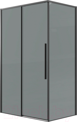 Душевой уголок Grossman Galaxy 100x80x195 / 120.K33.01.1080.21.10 - фото