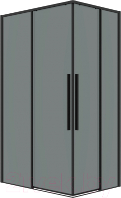 Душевой уголок Grossman Galaxy 100x70x195 / 300.K33.01.1070.21.10 - фото