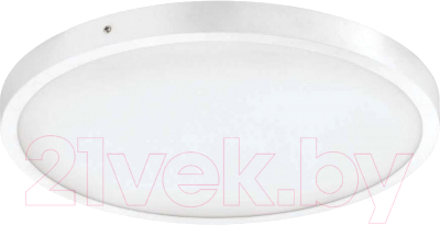 Потолочный светильник Eglo 97266 Fueva 1 - фото