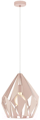 Потолочный светильник Eglo Carlton-P 49024 - фото