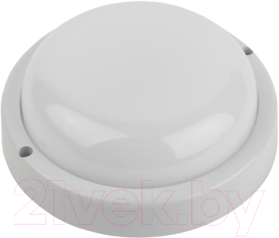 Светильник ЖКХ ЭРА SPB-201-3-65K-008 / Б0062529 - фото