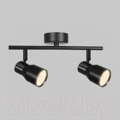 Спот Imex IL.0005.2801-2-BK