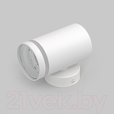 Светильник уличный Imex IL.0014.0018-WH