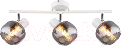 Спот Imex SP.039-53-15 - фото