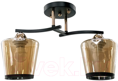 Потолочный светильник Aitin-Pro НПБ 02-2x60-101 / 9072/2 - фото