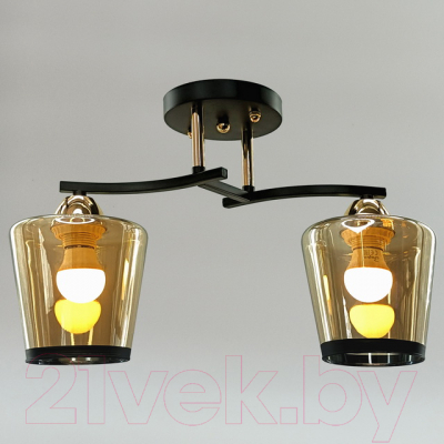 Потолочный светильник Aitin-Pro НПБ 02-2x60-101 / 9072/2