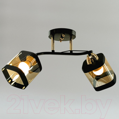 Потолочный светильник Aitin-Pro НПБ 02-2x60-101 / 9079/2