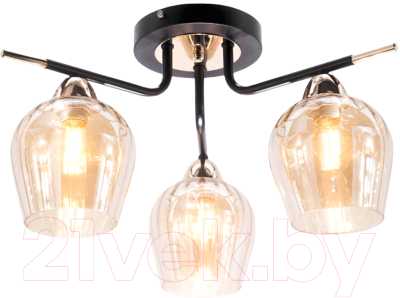 Люстра Aitin-Pro НПБ 02-3x60-102 / 9085/3 - фото