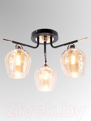 Люстра Aitin-Pro НПБ 02-3x60-102 / 9085/3