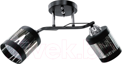 Потолочный светильник Aitin-Pro НПБ 02-2x60-101 / 9096/2 - фото