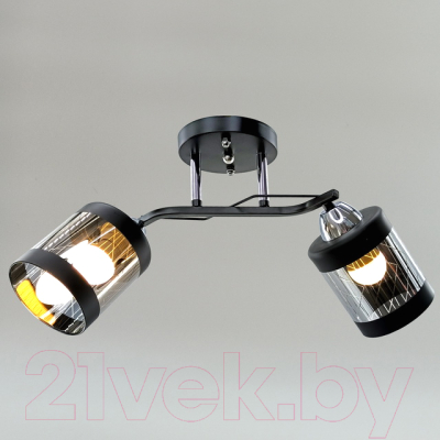 Потолочный светильник Aitin-Pro НПБ 02-2x60-101 / 9096/2