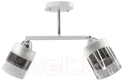 Потолочный светильник Aitin-Pro НПБ 02-2x60-101 / 9097/2 - фото