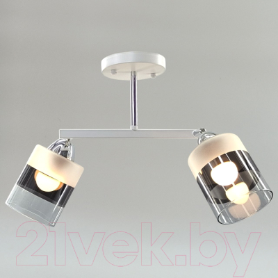 Потолочный светильник Aitin-Pro НПБ 02-2x60-101 / 9097/2