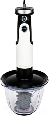 Блендер погружной Evolution HBS-0651 (белый)