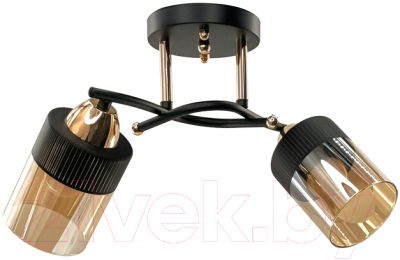 Потолочный светильник Aitin-Pro НПБ 02-2x60-101 / 9131/2 - фото