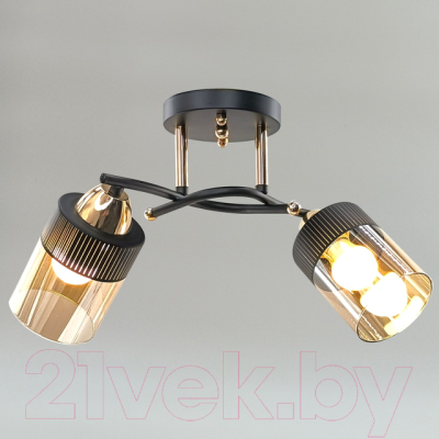 Потолочный светильник Aitin-Pro НПБ 02-2x60-101 / 9131/2