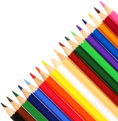 Набор цветных карандашей Koh-i-Noor Racoon / 3553018059KS