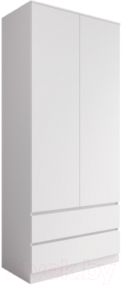 Шкаф ДСВ Мори МШ 900.2 - фото