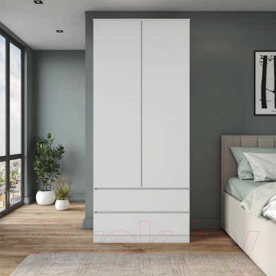 Шкаф ДСВ Мори МШ 900.2