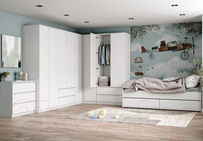 Шкаф ДСВ Мори МШ 900.2