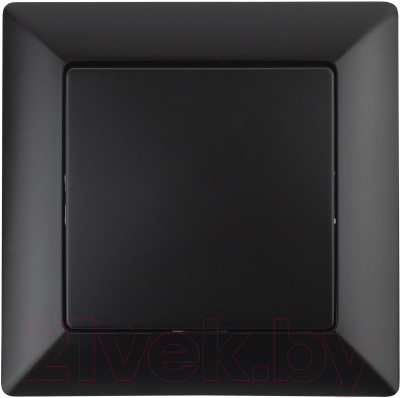 Выключатель INTRO Solo 4-101-05 / Б0053548 - фото