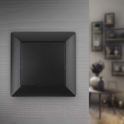 Выключатель INTRO Solo 4-101-05 / Б0053548