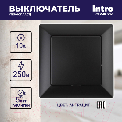 Выключатель INTRO Solo 4-101-05 / Б0053548