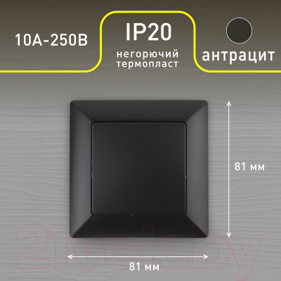 Выключатель INTRO Solo 4-101-05 / Б0053548