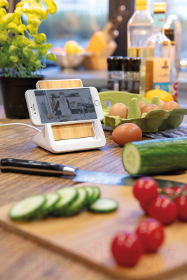 Зарядное устройство беспроводное Xindao Ontario / P308.483