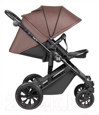 Детская универсальная коляска Farfello Molly Trio 3 в 1