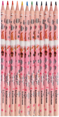 Набор цветных карандашей Erich Krause Pointes / 61808