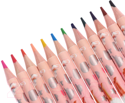 Набор цветных карандашей Erich Krause Pointes / 61808