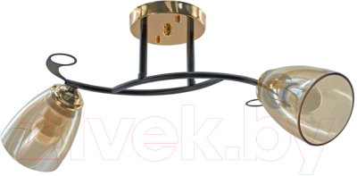 Потолочный светильник Aitin-Pro НПБ 02-2x60-101 / A4088/2 - фото