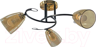 Люстра Aitin-Pro НПБ 02-3x60-101 / A4088/3 - фото