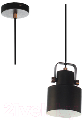 Потолочный светильник Aitin-Pro НСБ 01-40-101 / A8062/1