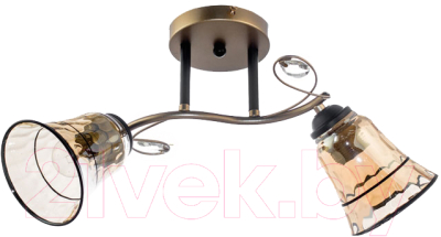 Потолочный светильник Aitin-Pro НПБ 02-2x60-101 / DA5097/2C - фото