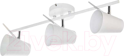 Спот Aitin-Pro НПБ 02-3x60-101 / K215/3 - фото