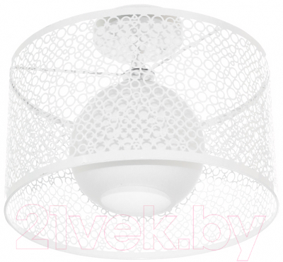 Потолочный светильник Aitin-Pro НПБ 02-60-108 / N2102/1H - фото