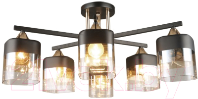 Люстра Aitin-Pro НПБ 02-6x60-101 / N4056/6 - фото