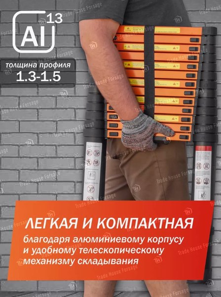 Телескопическая лестница ISMA UP410