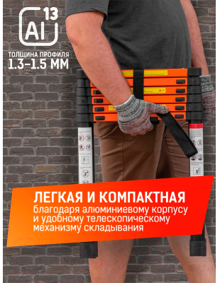 Телескопическая лестница ISMA UP200-2