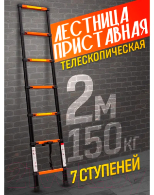 Телескопическая лестница ISMA UP200