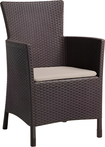 Кресло садовое Keter Iowa DC / 212277 - фото