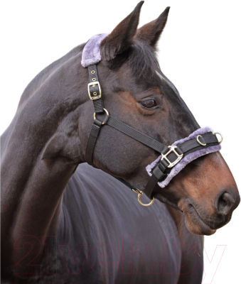Кавессон для лошади Shires COB / 4168/BLACK/COB - фото